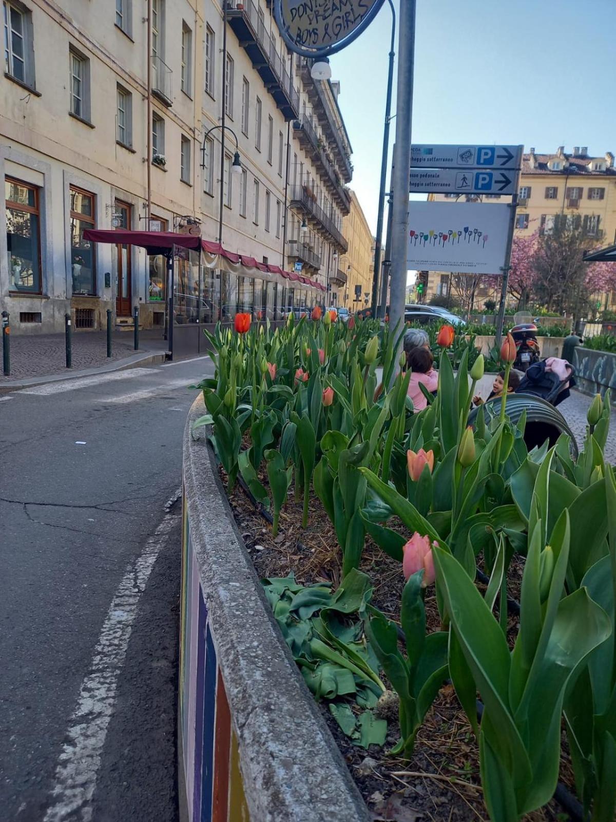 Centralissimo Nel Cuore Del Quadrilatero Di Torino Eksteriør bilde